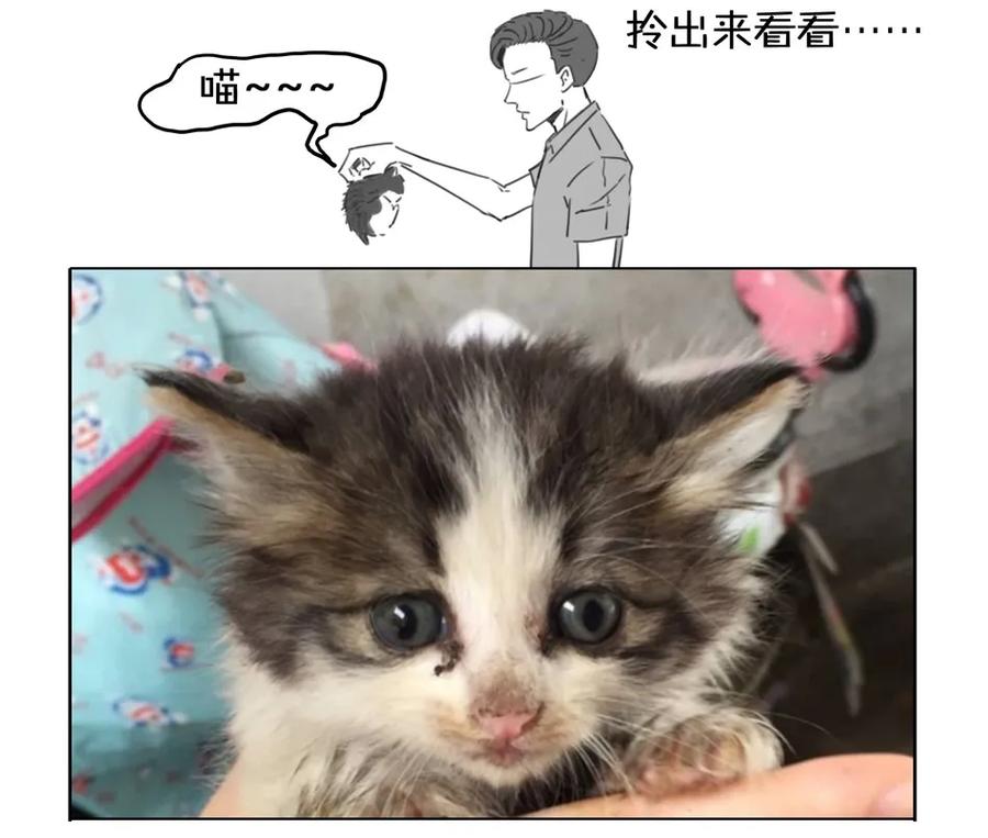 《杀手古德》900 九百话纪念 第12页