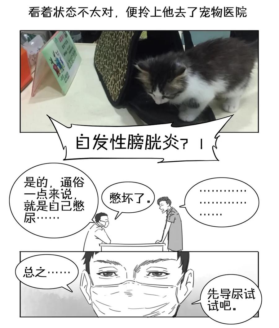 《杀手古德》900 九百话纪念 第30页