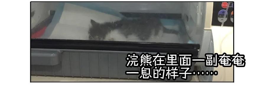 《杀手古德》900 九百话纪念 第37页
