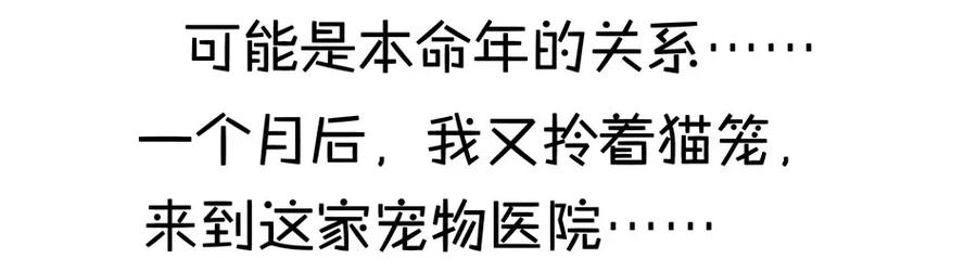 《杀手古德》900 九百话纪念 第112页