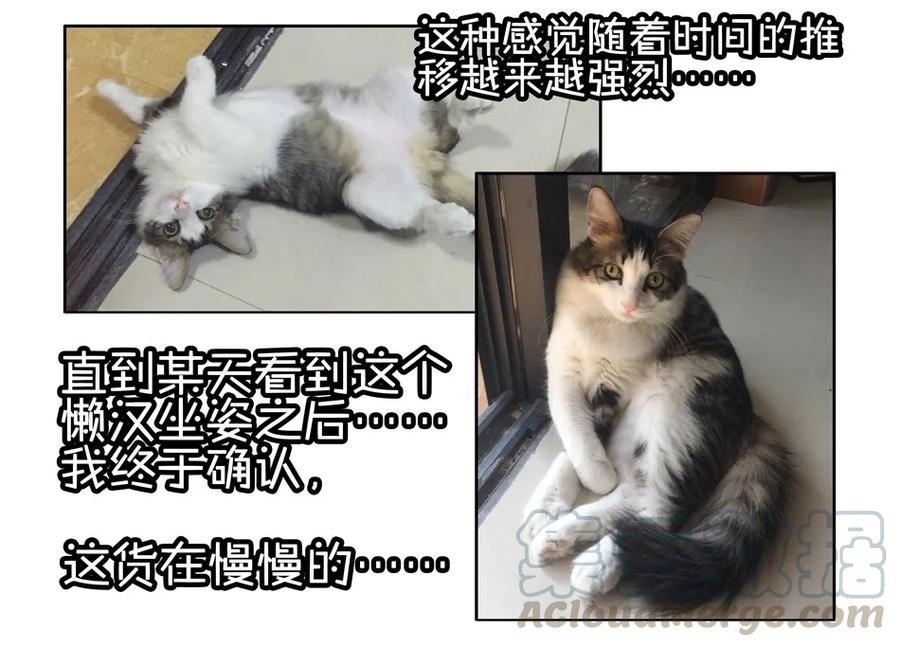 《杀手古德》900 九百话纪念 第66页