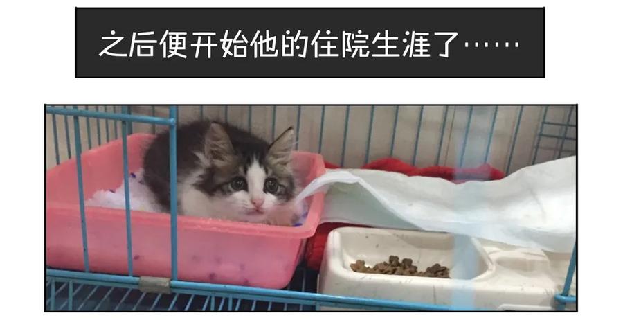 《杀手古德》900 九百话纪念 第33页