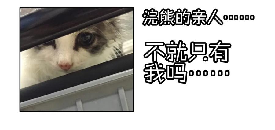 《杀手古德》900 九百话纪念 第49页
