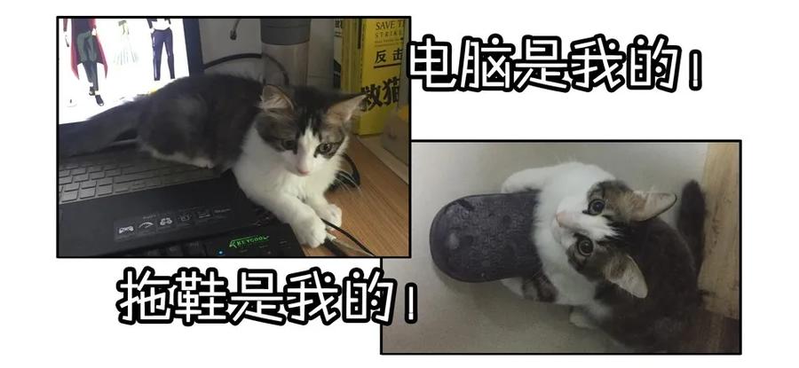 《杀手古德》900 九百话纪念 第60页