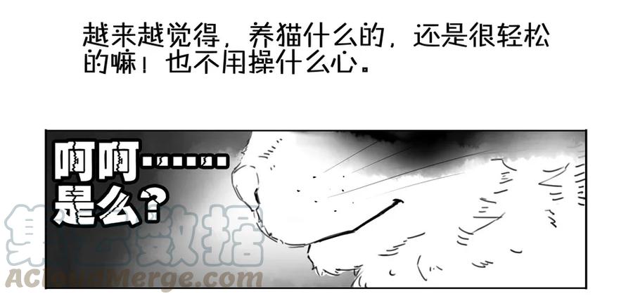 《杀手古德》900 九百话纪念 第26页