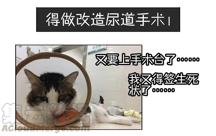 《杀手古德》900 九百话纪念 第116页