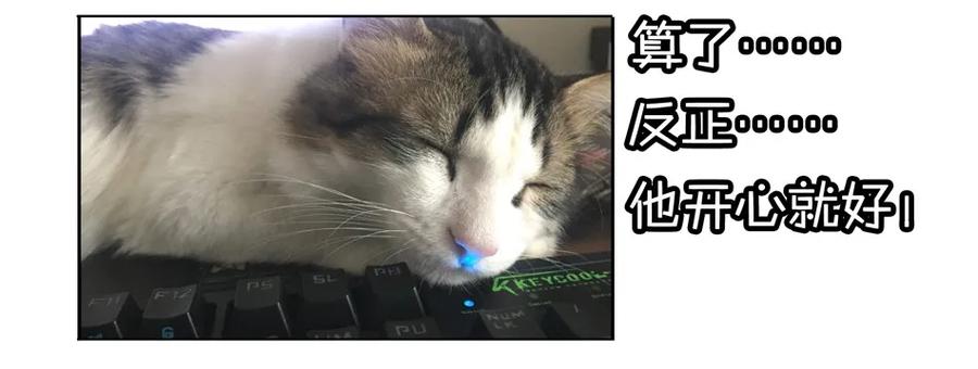 《杀手古德》900 九百话纪念 第69页