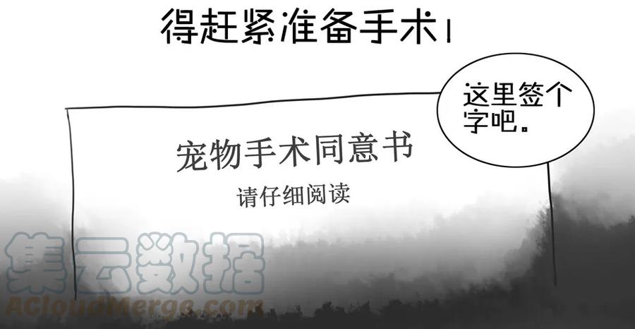 《杀手古德》900 九百话纪念 第41页
