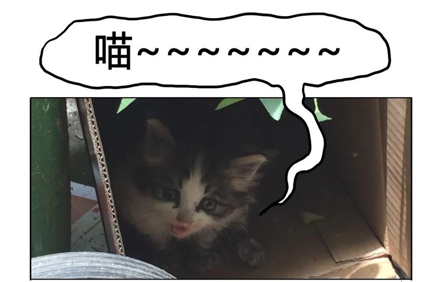《杀手古德》900 九百话纪念 第10页