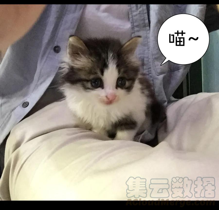 《杀手古德》900 九百话纪念 第141页