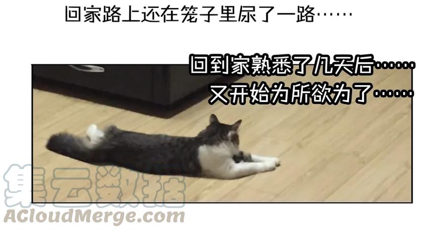 《杀手古德》900 九百话纪念 第71页