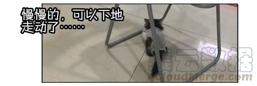 《杀手古德》900 九百话纪念 第51页