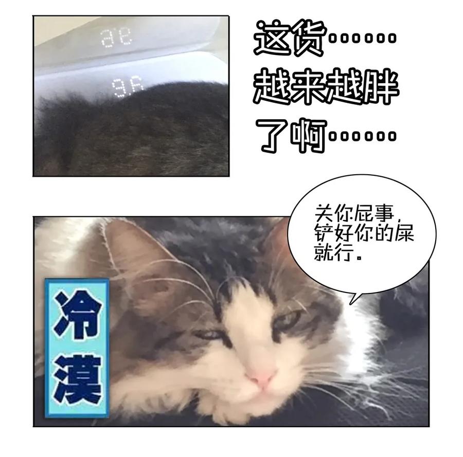 《杀手古德》900 九百话纪念 第133页