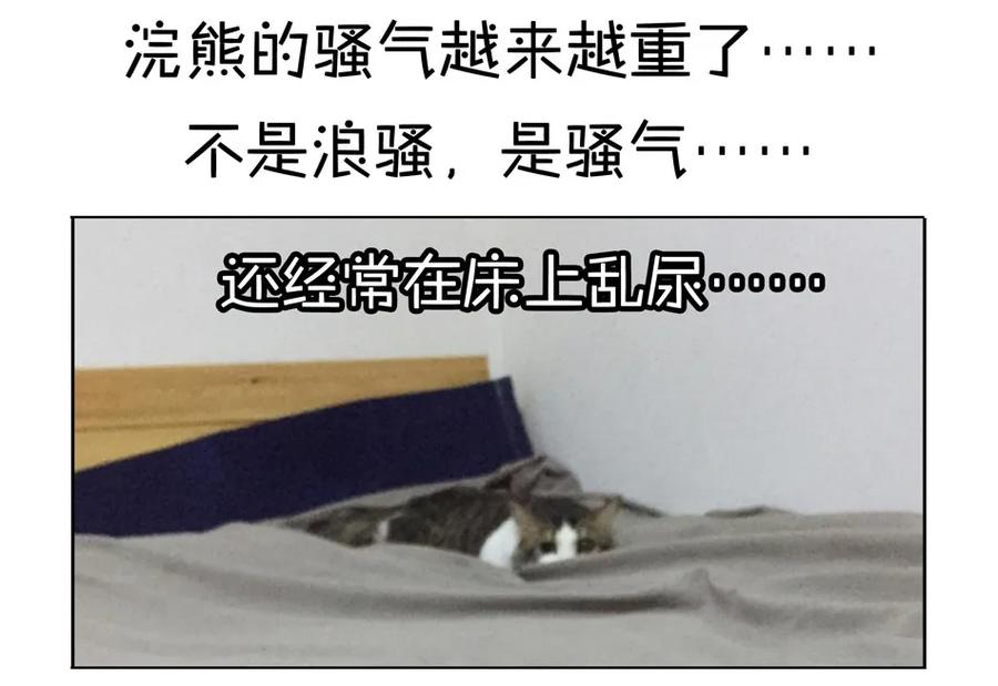 《杀手古德》900 九百话纪念 第79页