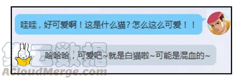 《杀手古德》904 养猫 第9页