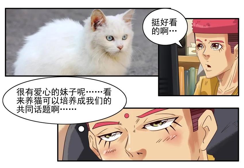 《杀手古德》904 养猫 第8页