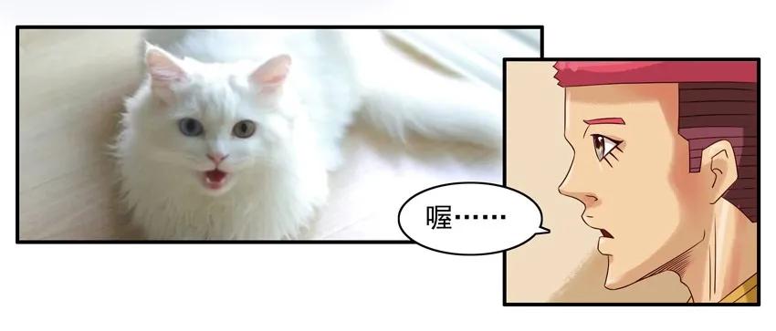 《杀手古德》904 养猫 第7页