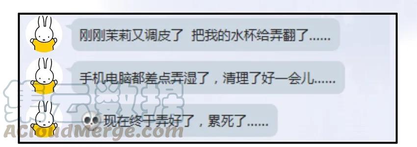 《杀手古德》904 养猫 第3页