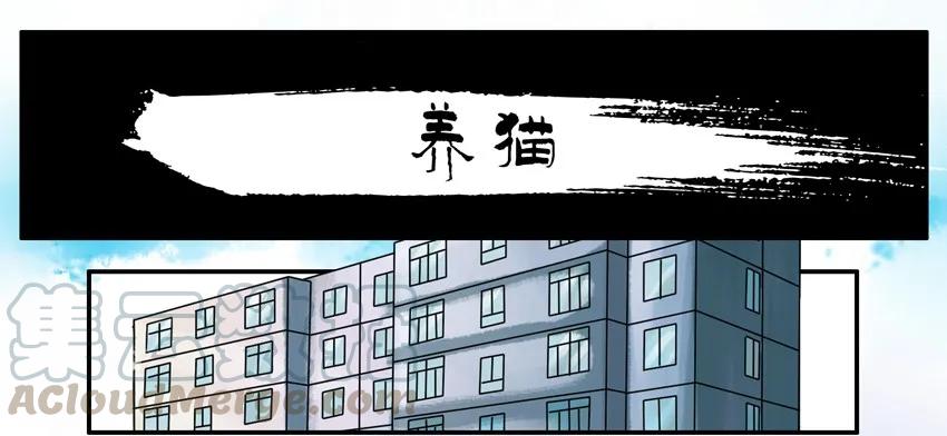 《杀手古德》904 养猫 第1页