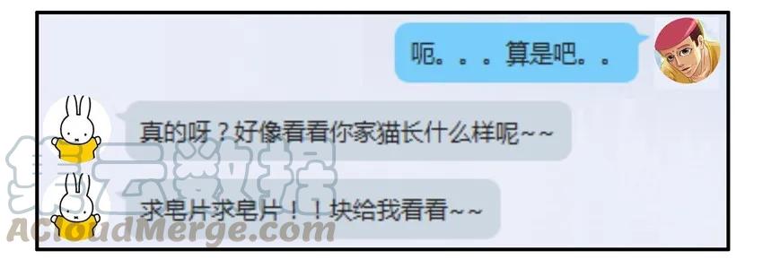 《杀手古德》904 养猫 第12页