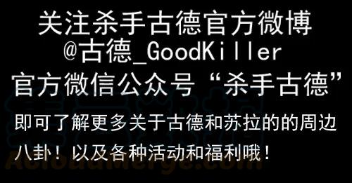 《杀手古德》944 送文件 第13页