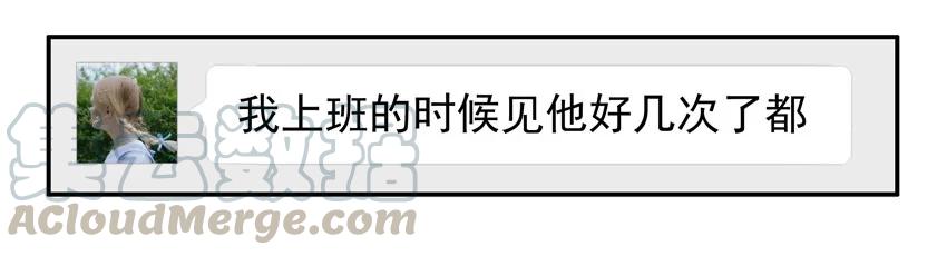 《杀手古德》998 制造话题 第13页