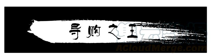 《杀手古德》1067 导购之王 第1页