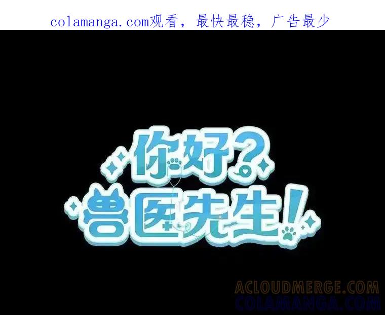 《你好？兽医先生！》59.我们回家吧 第1页