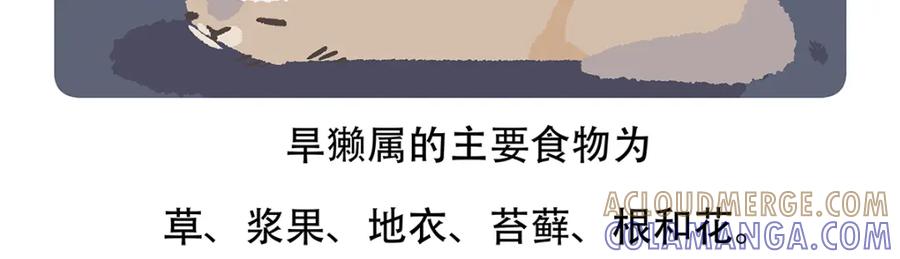 《胖达x胖达》第88话 第29页