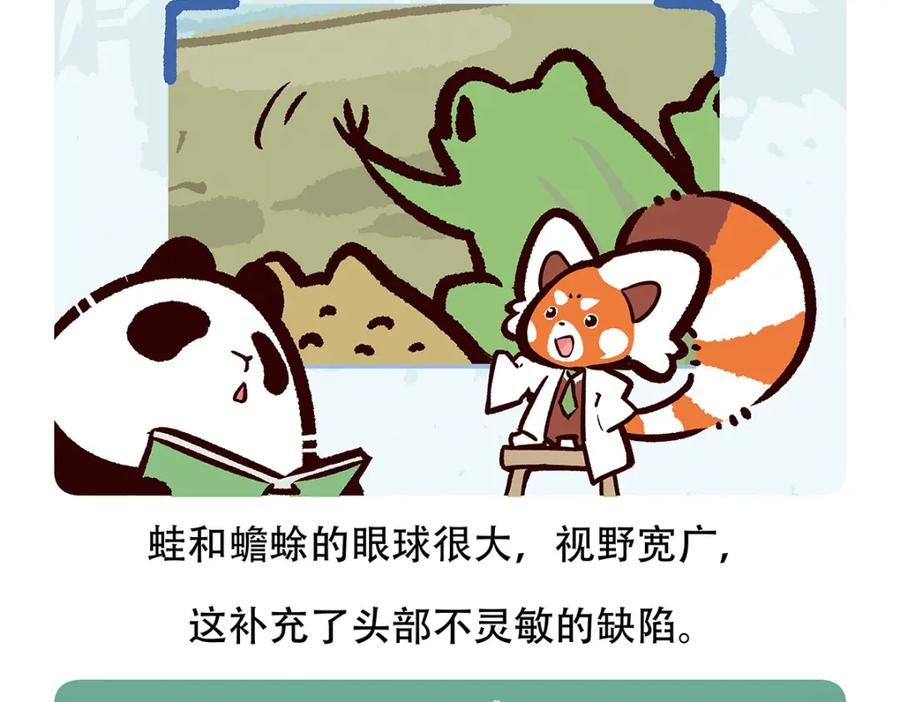 《胖达x胖达》第88话 第20页