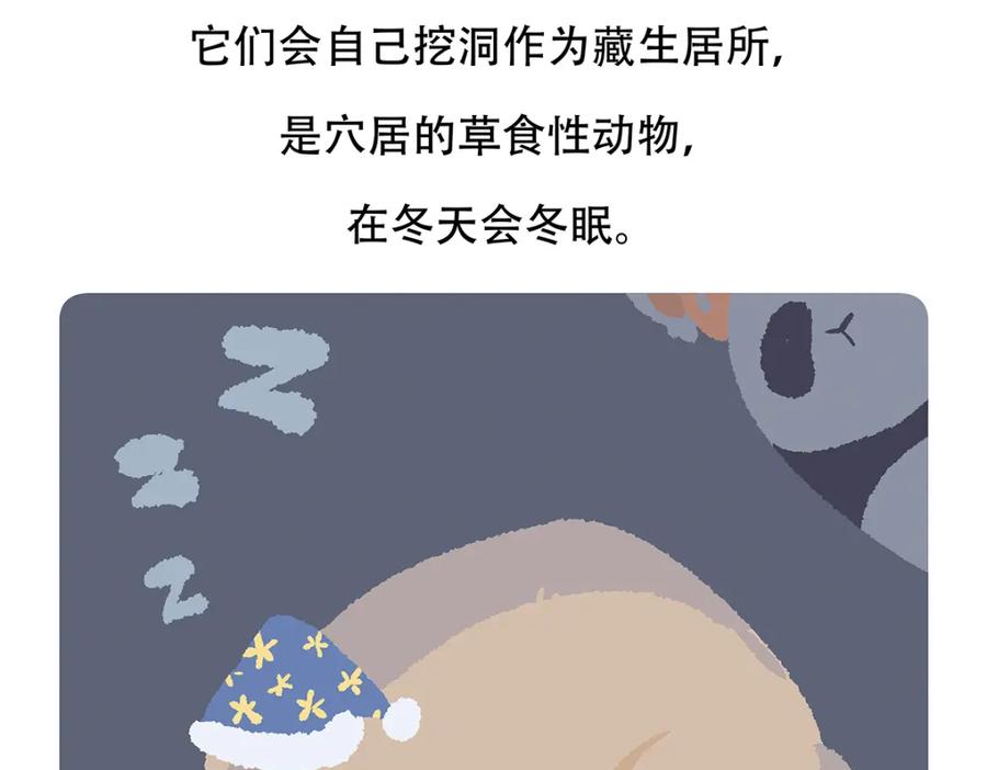 《胖达x胖达》第88话 第28页