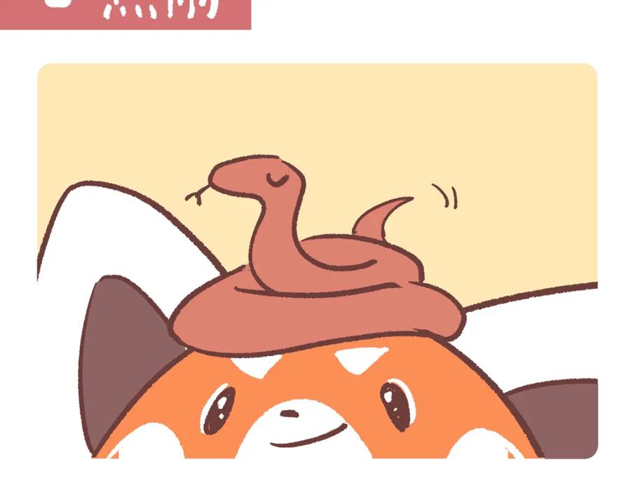 《胖达x胖达》第250话 第14页