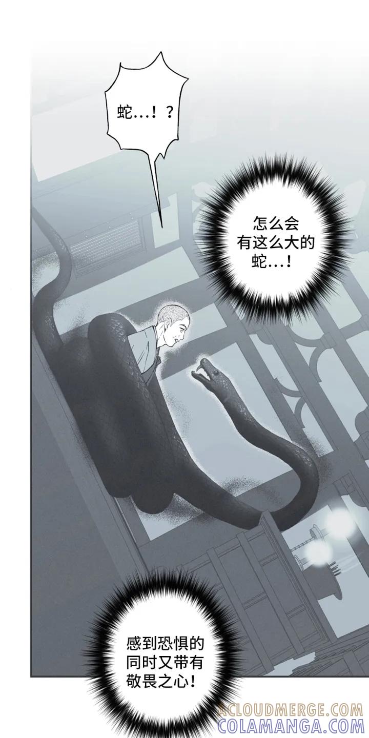 《蛇环凶危》第1章：虔诚 第10页