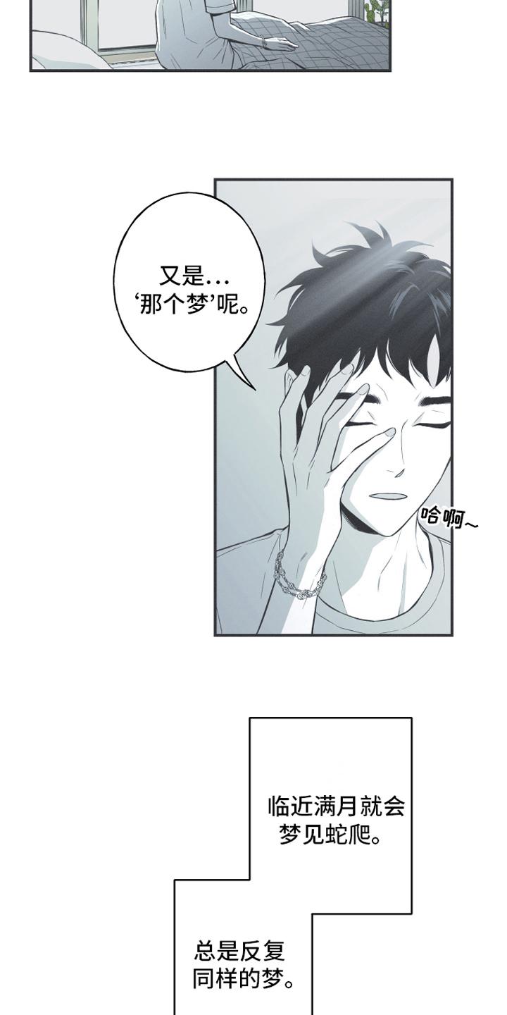 《蛇环凶危》第10章：理由 第2页