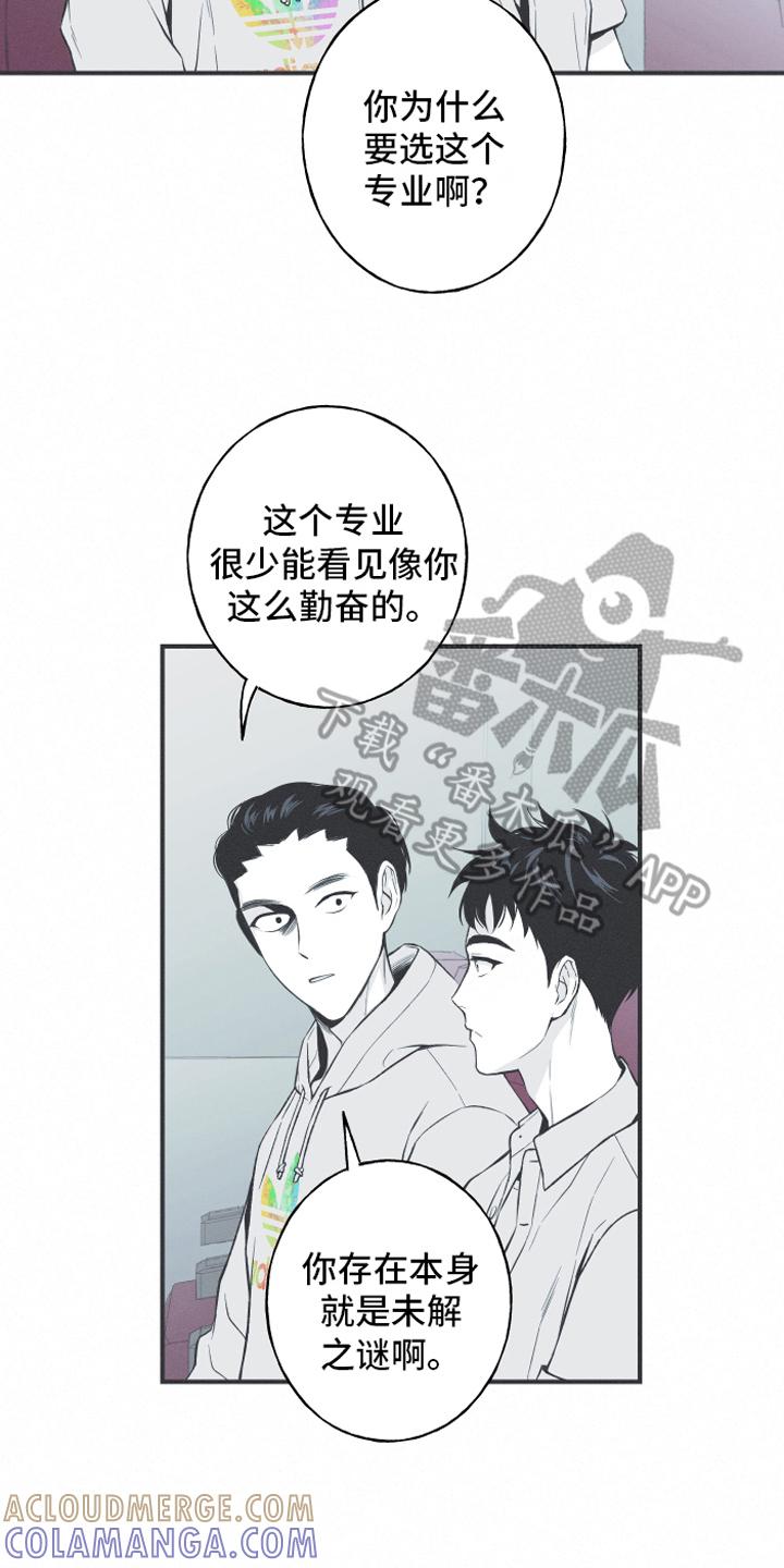 《蛇环凶危》第10章：理由 第11页