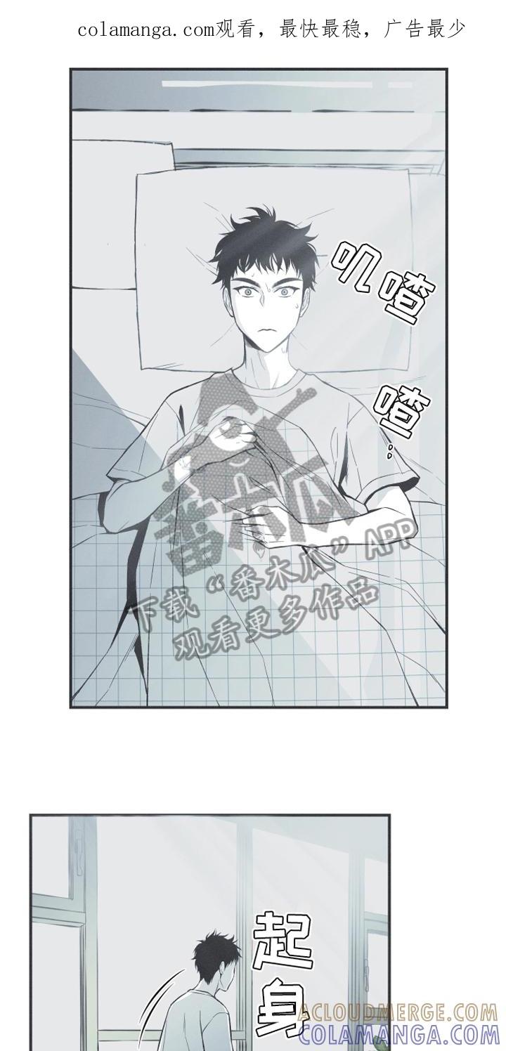《蛇环凶危》第10章：理由 第1页