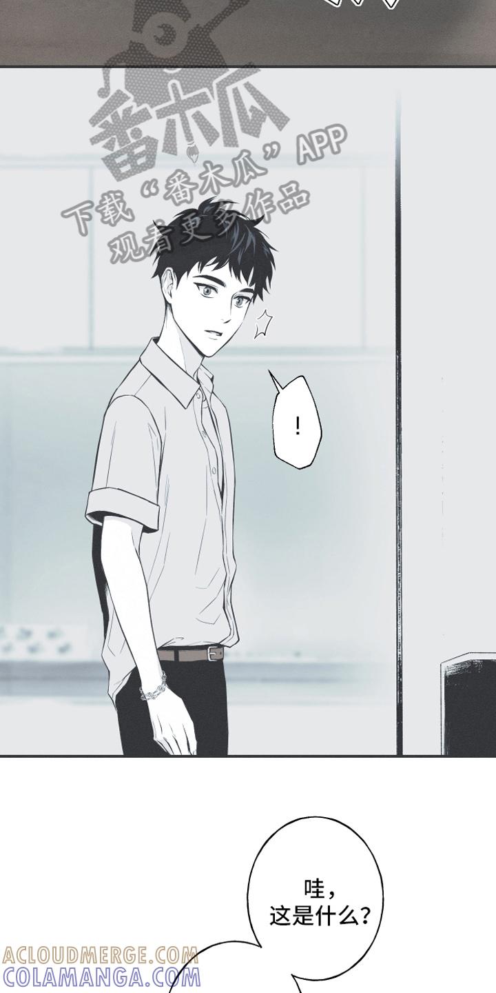 《蛇环凶危》第11章：回忆 第5页