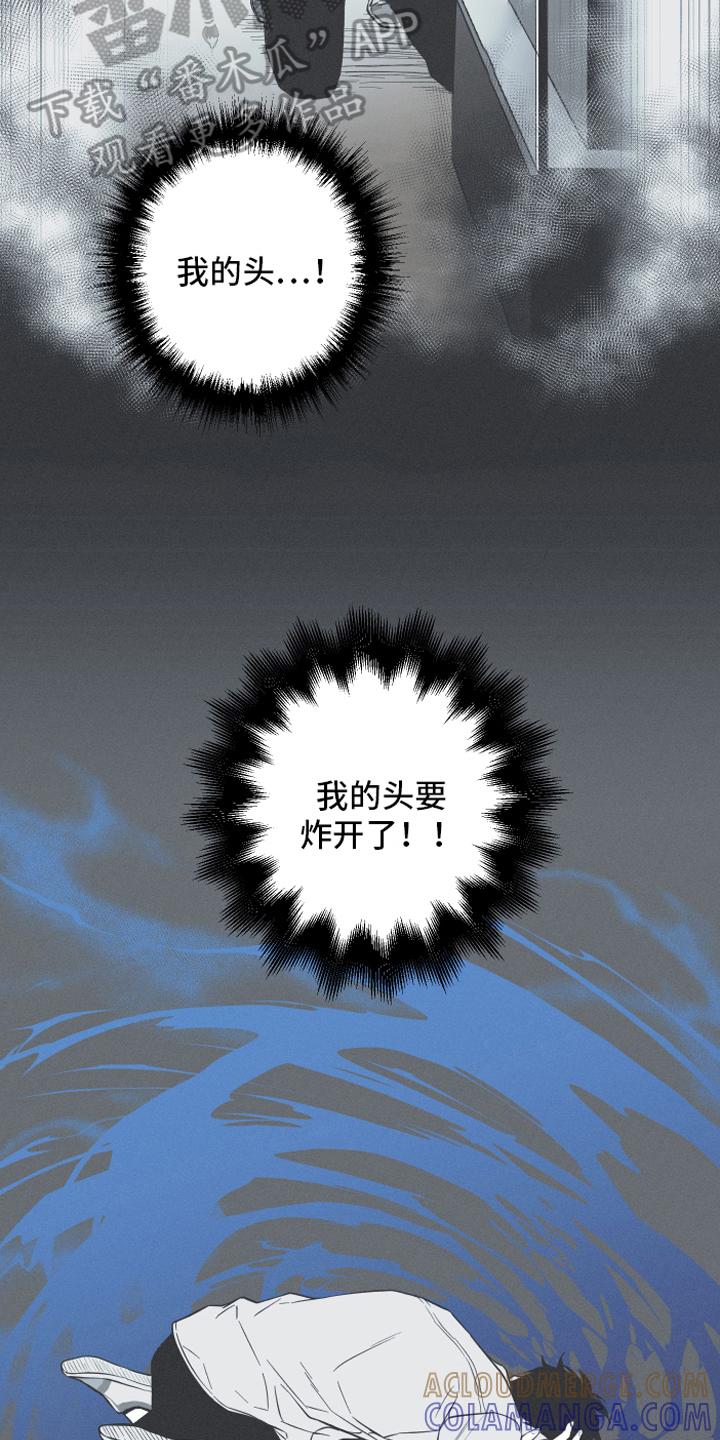 《蛇环凶危》第11章：回忆 第13页