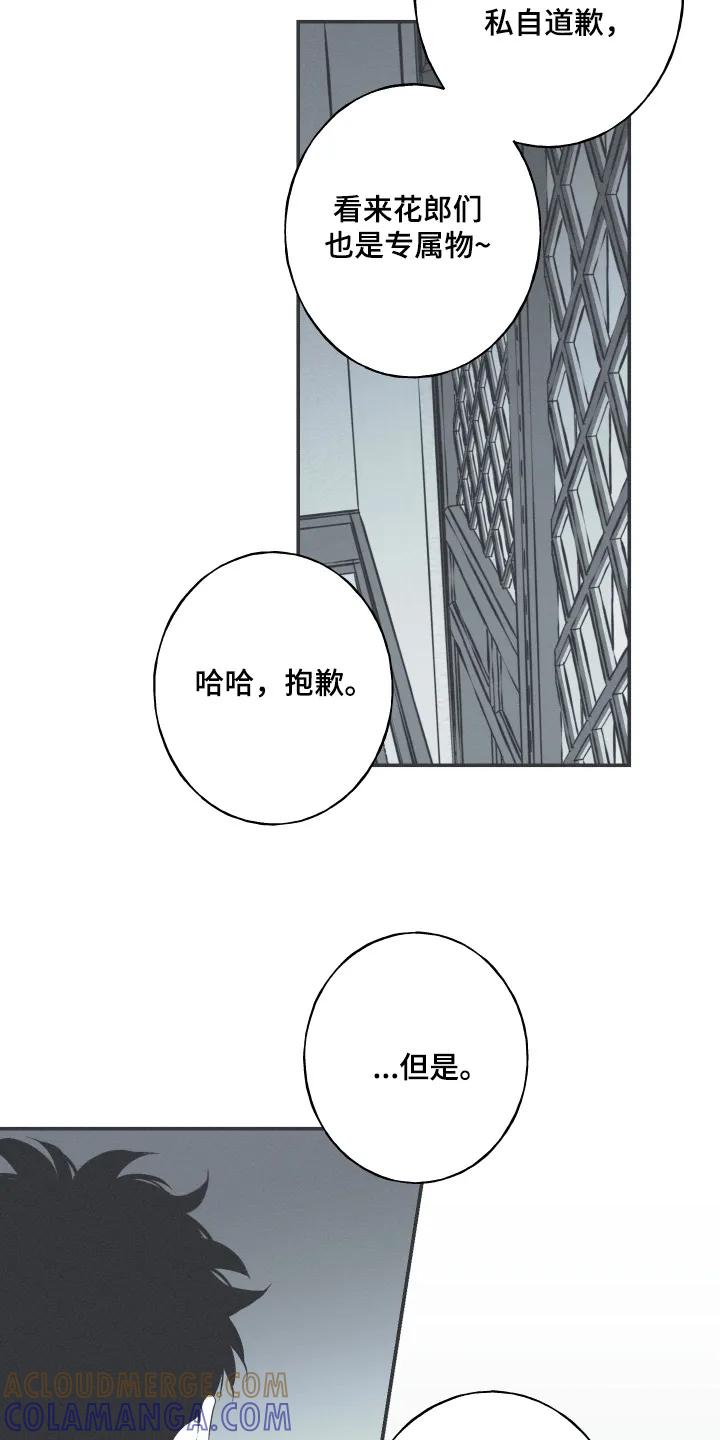 《蛇环凶危》第155章：【第四季】去天竺吧 第9页