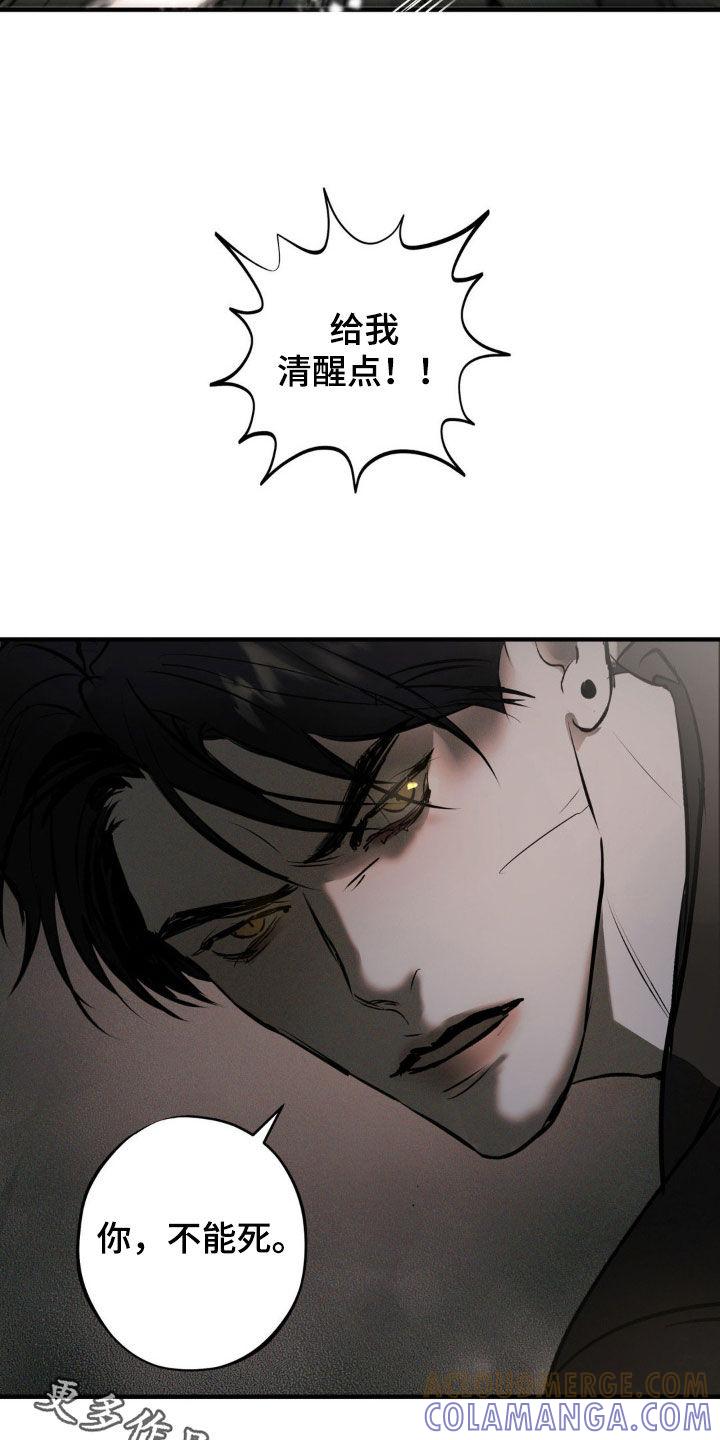 《黑城之剑》第20章：你不能死 第29页