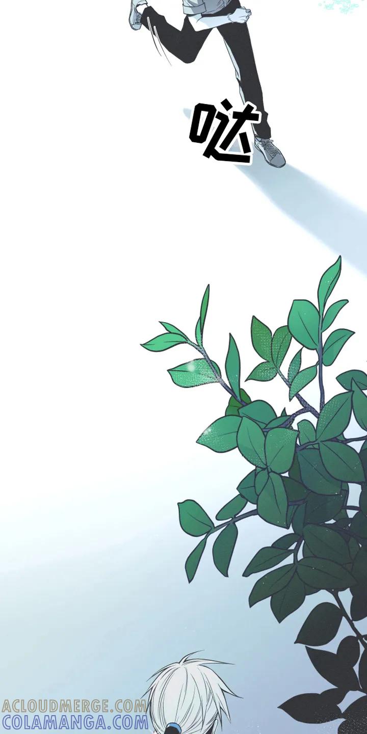 《蛇环凶危》第3章：目标 第5页