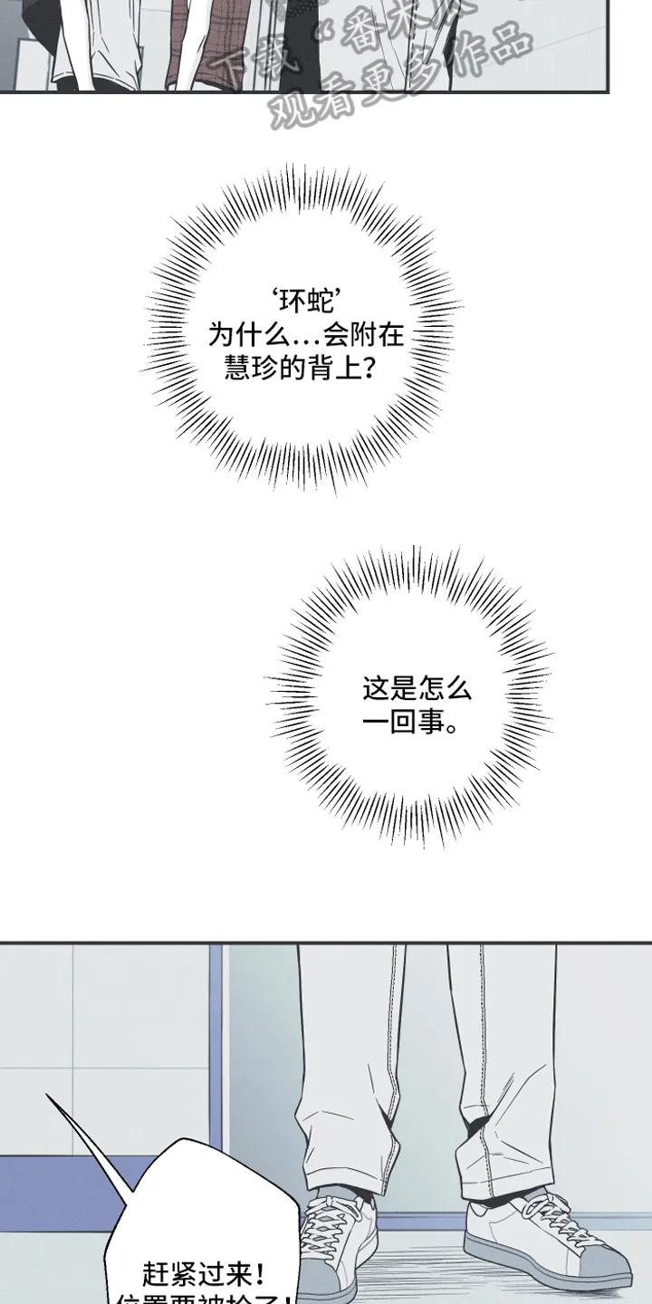 《蛇环凶危》第5章：异常 第14页