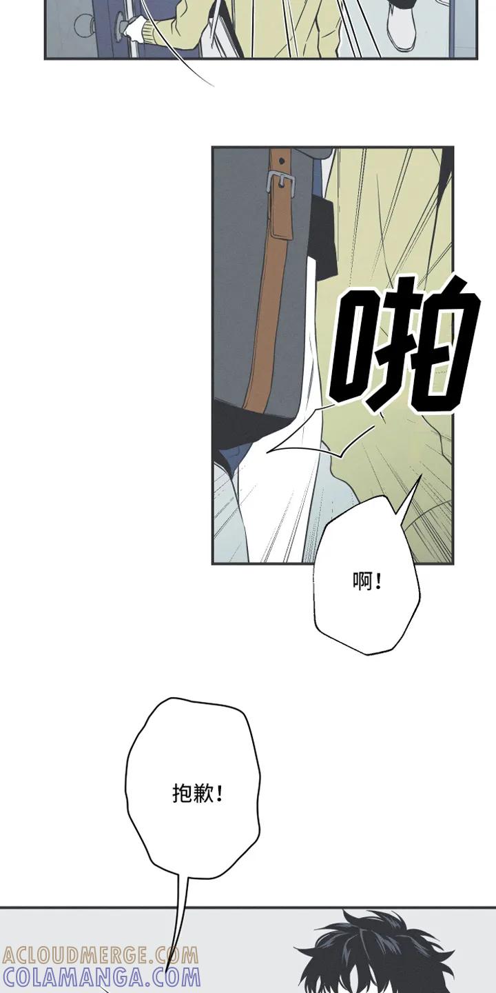 《蛇环凶危》第5章：异常 第7页