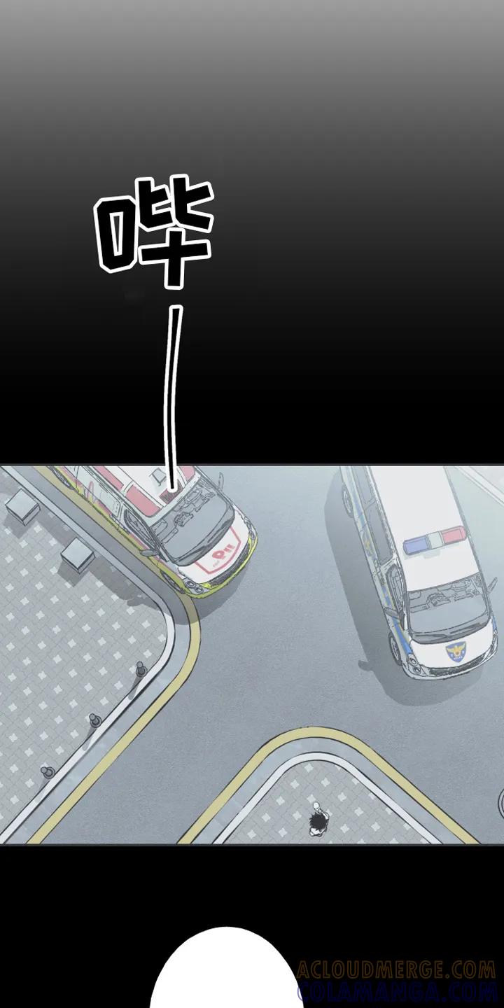 《蛇环凶危》第6章：最终的结果 第11页