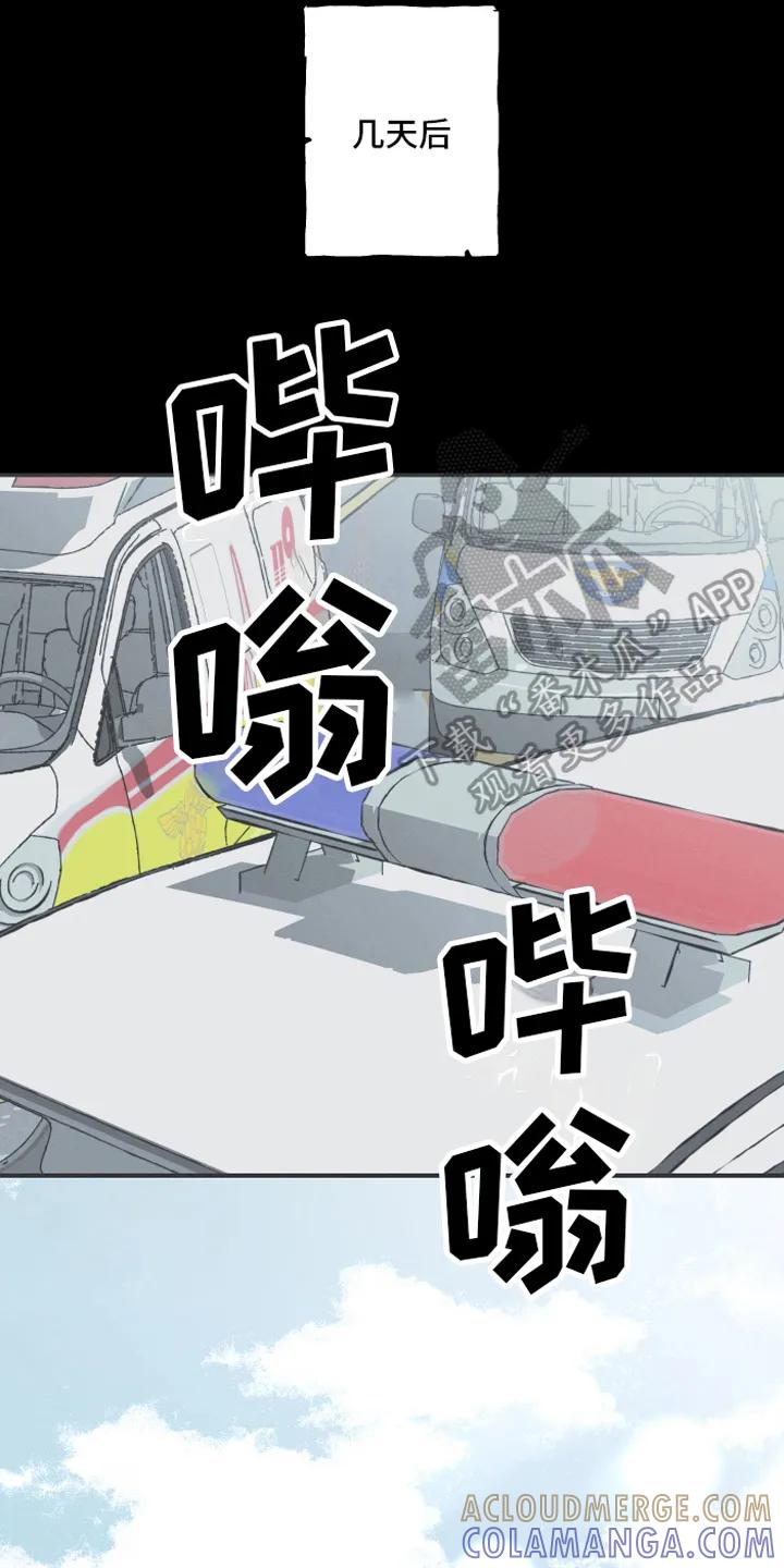 《蛇环凶危》第6章：最终的结果 第7页