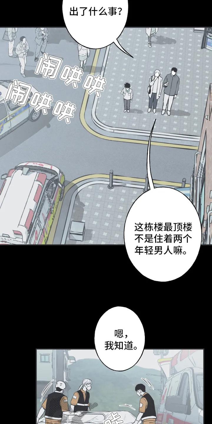 《蛇环凶危》第6章：最终的结果 第12页