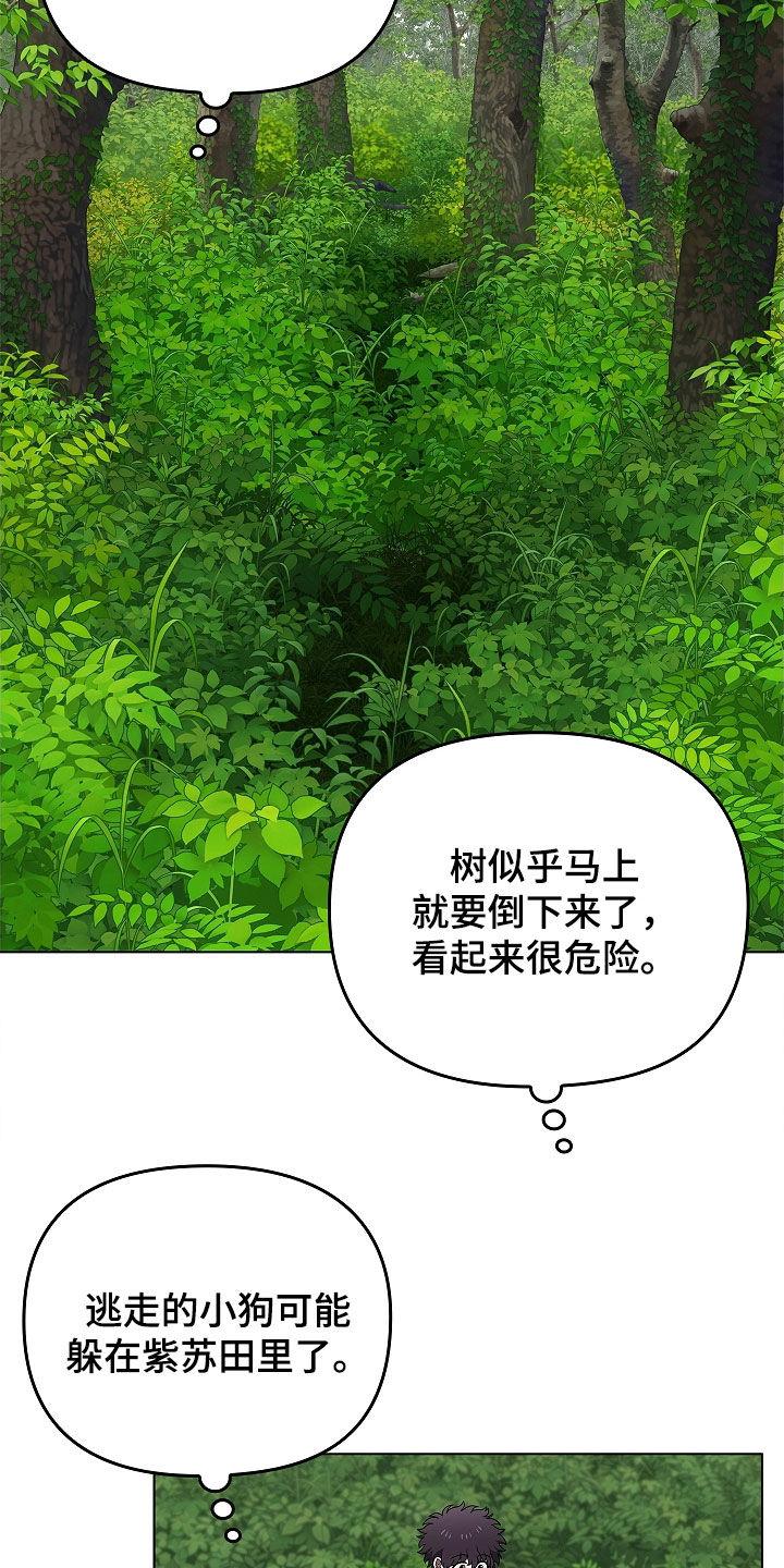 《蓝目鬼眼》第64章：受伤的狐狸 第6页