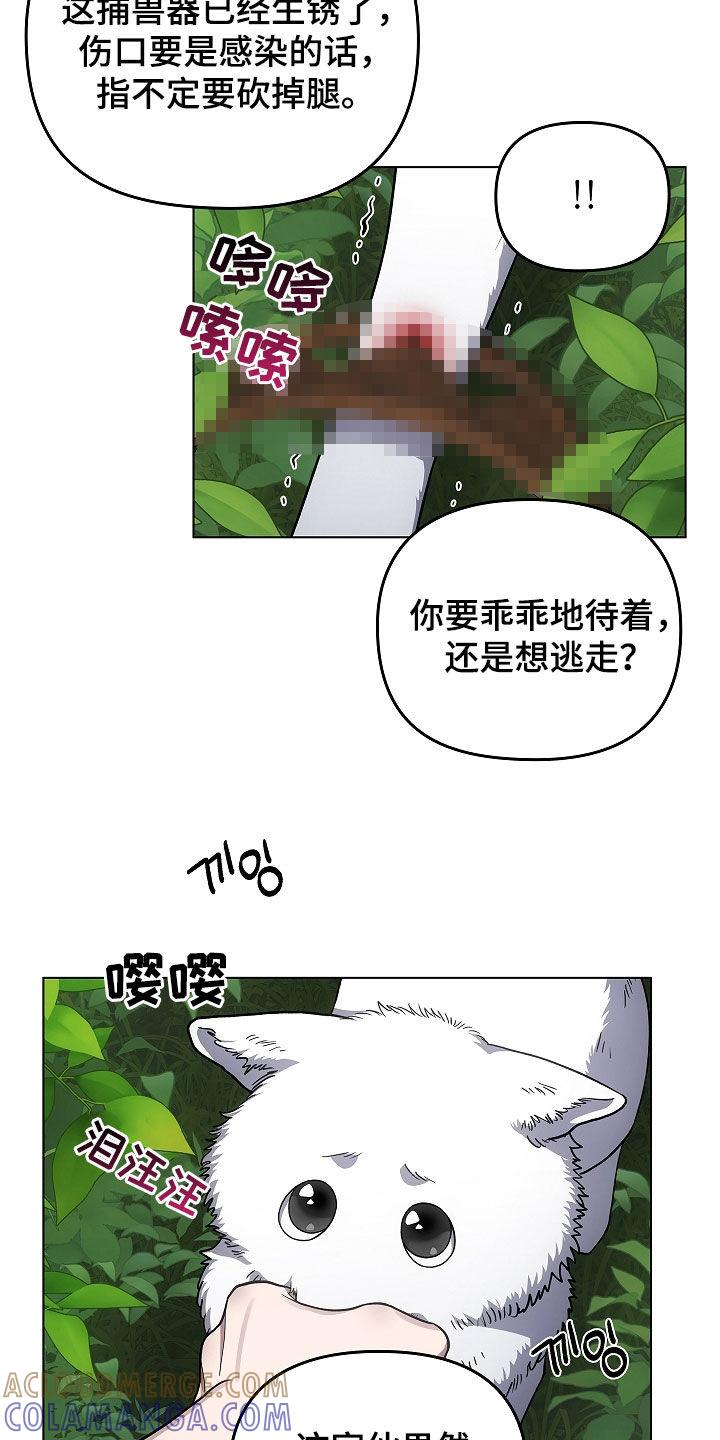 《蓝目鬼眼》第64章：受伤的狐狸 第17页