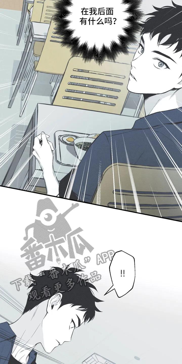 《蛇环凶危》第7章：明了 第10页