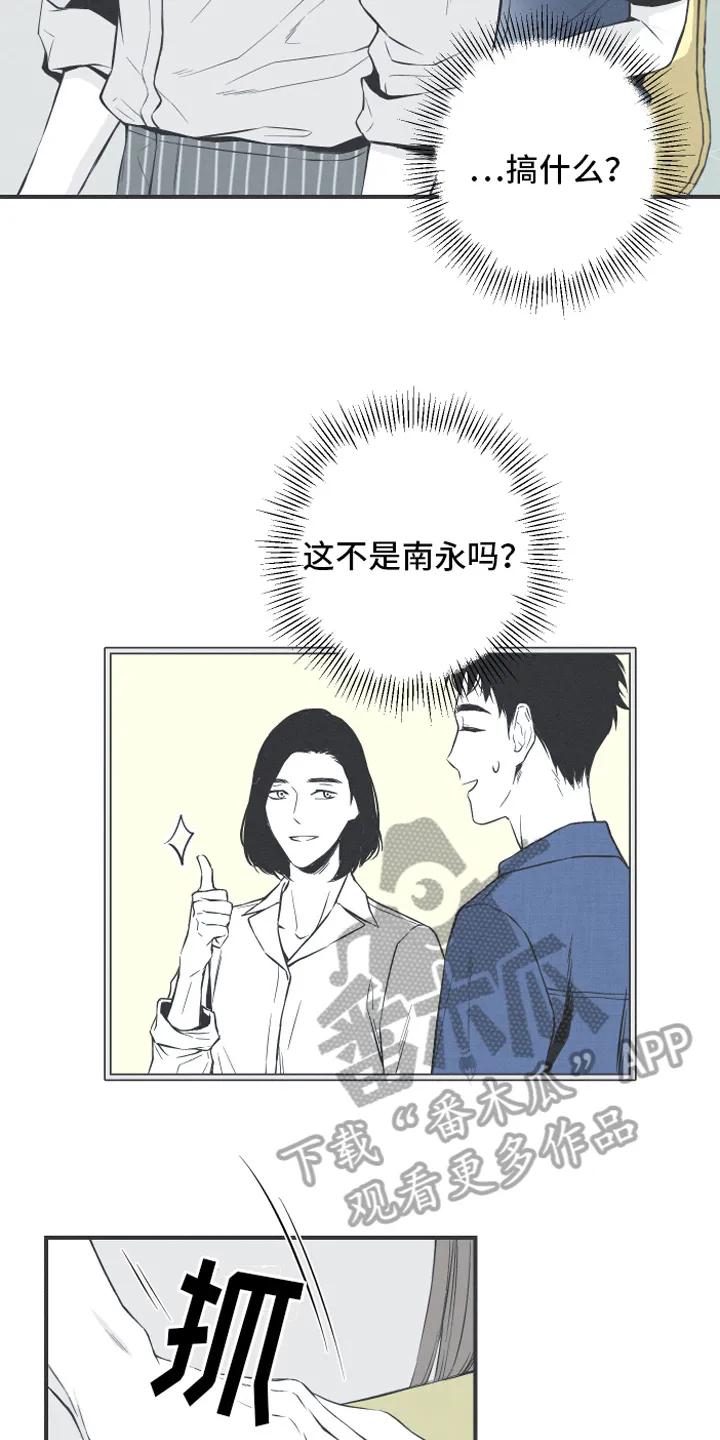 《蛇环凶危》第7章：明了 第12页